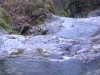 dscn2902