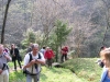 dscn3110